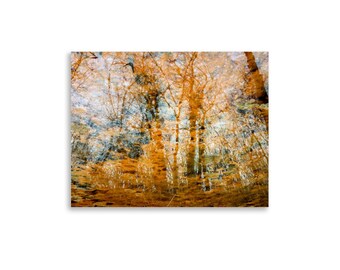 Fall Colors Poster