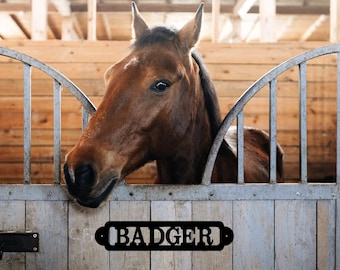 Custom Metal Horse Stall Sign, Weatherproof Barn Plaque