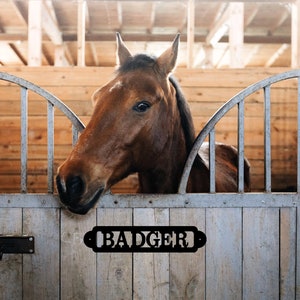 Metal Horse Stall Sign Custom, Ranch Entry Decor, Texas Equestrian Gift, Personalized Barn Plaque, Weatherproof Wall Art