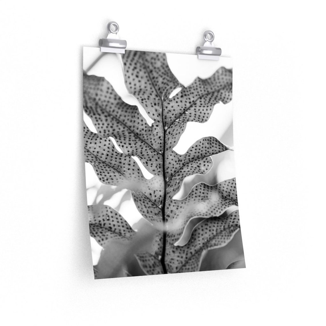 Dotted Premium Matte Print Etsy