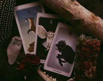 How Do I Cure My Loneliness? - Tarot + Oracle Reading