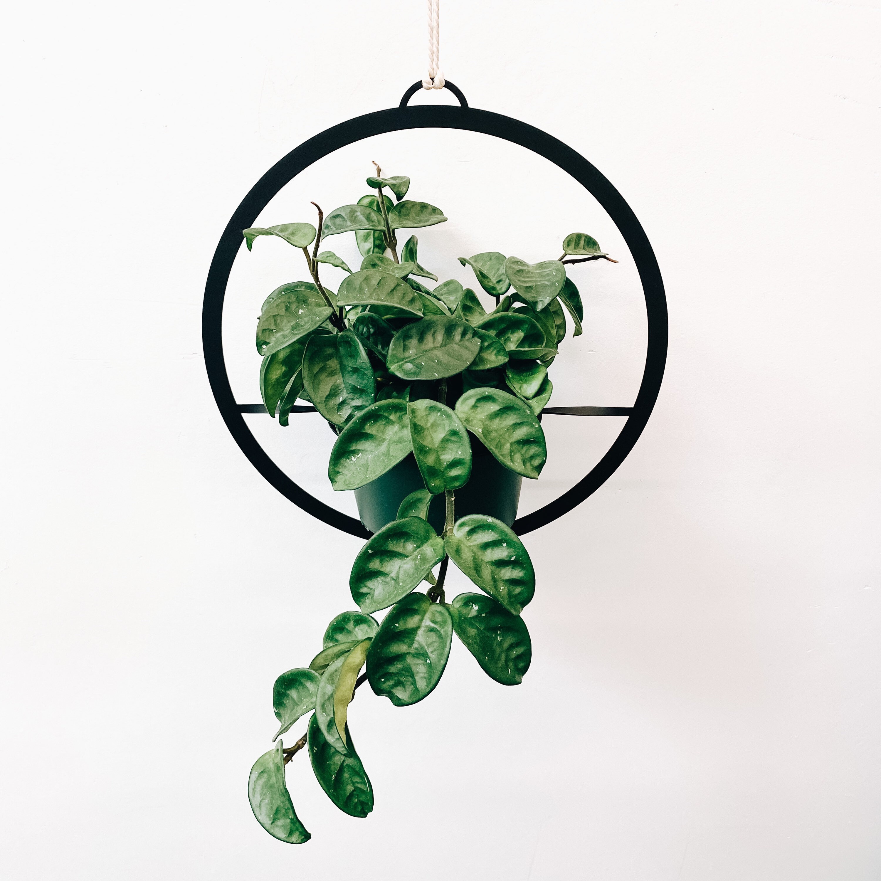 Modern Circle Hanger Etsy