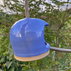 May include: A blue ceramic bird feeder with a twig perch. The feeder is hanging from a string and has a rounded shape with a hole for birds to enter.