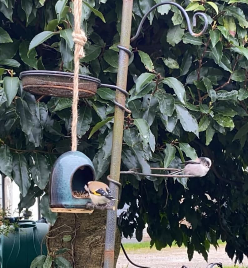 May include: A blue ceramic bird feeder with a small bird perched on the edge. The feeder is hanging from a rope and is attached to a metal pole. A second bird is perched on a metal ring attached to the pole.