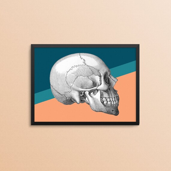 Skull Illustration skeleton print 70s psychedelic bone | Etsy