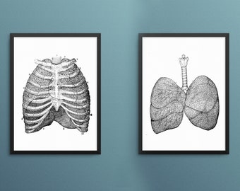 May include: Two black framed anatomical illustrations of the human lungs and rib cage. The left image shows the rib cage with the lungs inside. The right image shows the lungs with the trachea and bronchi.