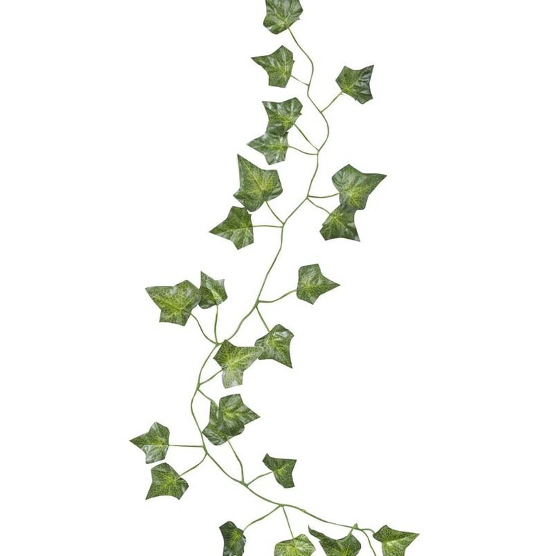 Decorative Vines