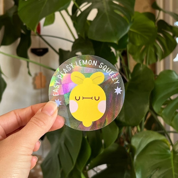 Suncatcher Easy Peasy repositionable rainbow maker | Nina Spicy Illustration