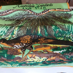 May include: A green tea towel with a colorful illustration of a bird called a Superb Lyrebird. The text "Australian Lyrebirds" and "Superb Lyrebird" is printed on the towel.