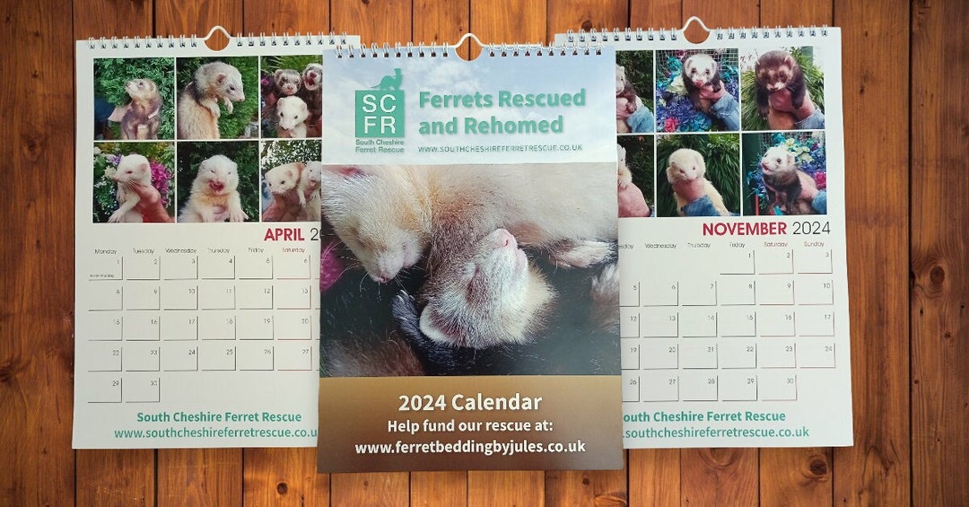 Ferret Rescue 2024 Calendar Etsy