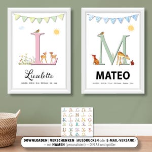 Carta natal bebé nacimiento regalo felicitaciones cartel nombre signo del zodíaco peso centímetro hora lugar de nacimiento recordatorio personalizado PDF