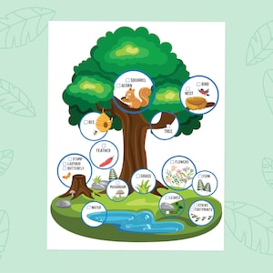 Nature Scavenger Hunt For Kids, Birthday & Nature Exploration Game, Preschool Learning Activity, Fun Outdoor Quest, Outdoor Scavenger Hunt
