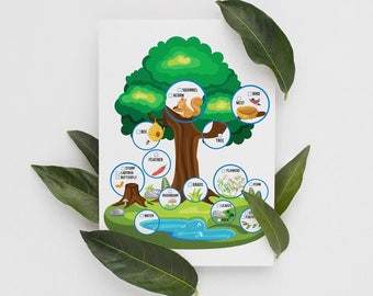 Nature Scavenger Hunt: Outdoor Kids Game (PDF & JPG)