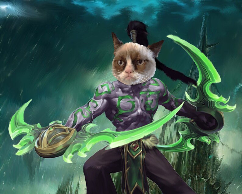 world of warcraft pets world of warcraft pets