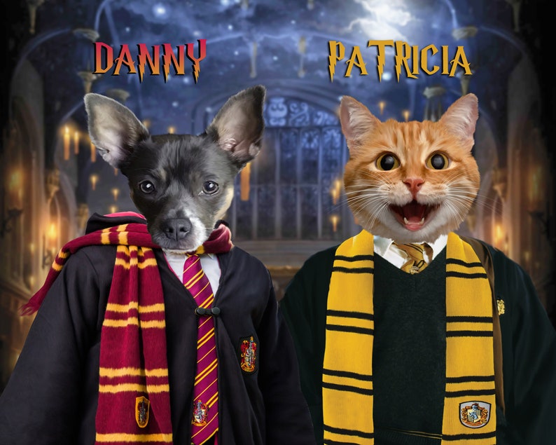 Harry Potter Custom Cat Dog Animal Portrait from Etsy