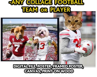Custom Collage Football Pet Portrait, American Football Poster, Cat Dog Gift, Best Birthday Present for Pet Sport Lover, Man anniversary