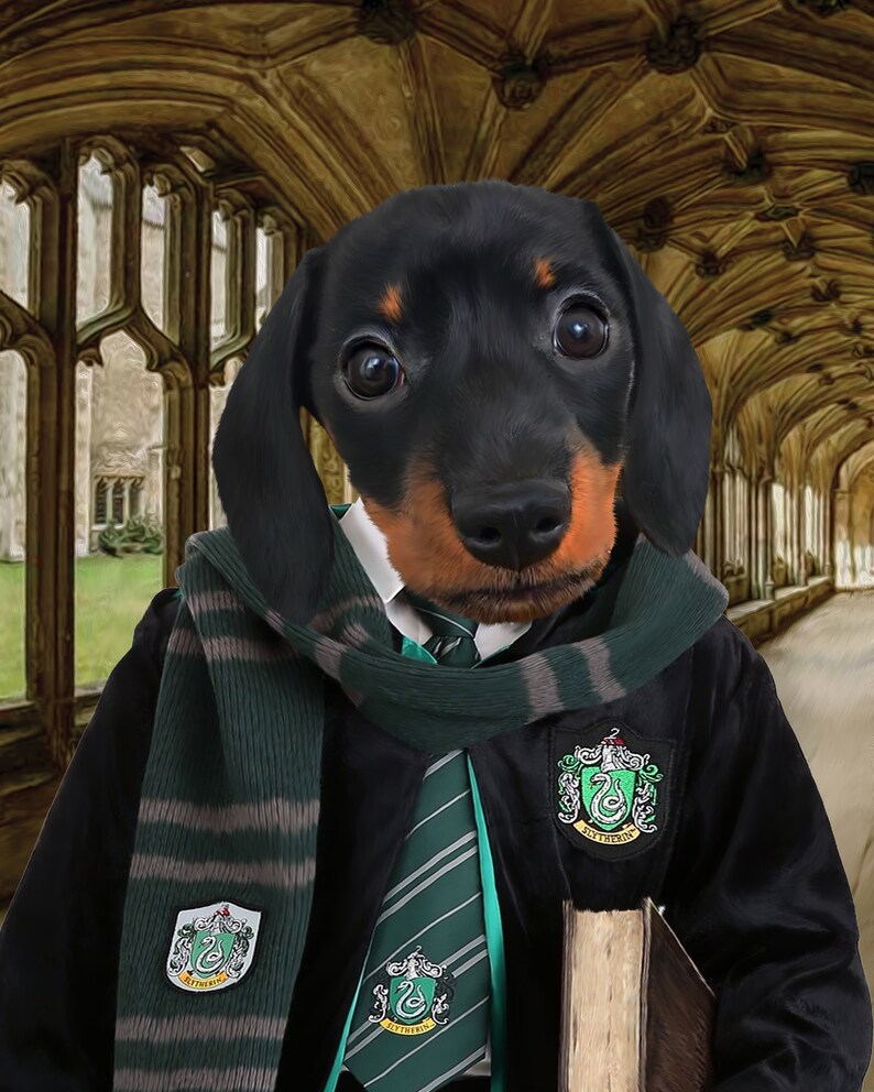 Slytherin Pet Portrait Slytherin Portrait Custom Pet Etsy