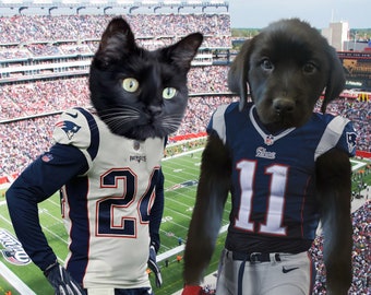 Custom Pet Portraits~Funny football gifts~Personalized football gifts for players~American football wall art decor~Custom cat dog Gift~NFL