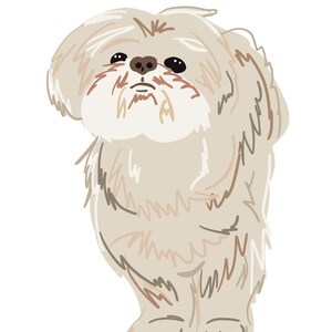 Sketch of your pet- in color
