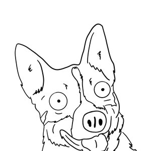 Sketch of your pet