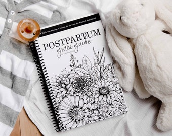 Postpartum Grace Guide: A Day-by-Day Message and Inspirational Journal for New Moms