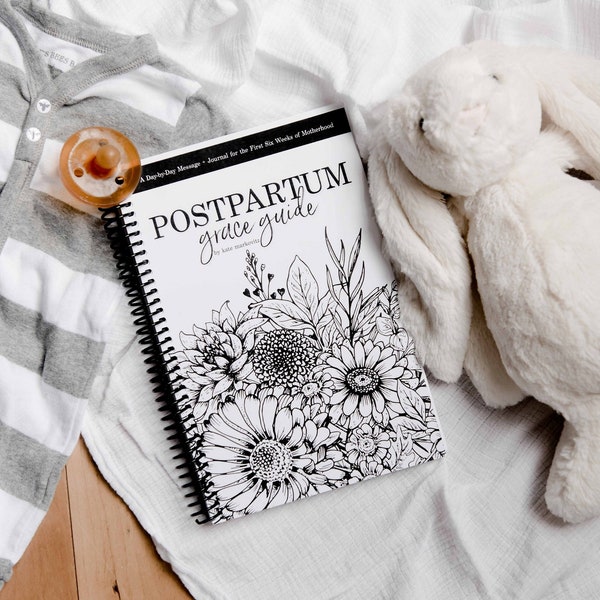 Postpartum Grace Guide: A Day-by-Day Message and Inspirational Journal for New Moms