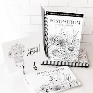 Pacote pós-parto: Guia de graça pós-parto + baralho de cartas com 42 afirmações para novas mamães
