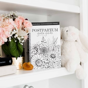 Postpartum Grace Guide: A Day-by-Day Message and Inspirational Journal for New Moms image 5