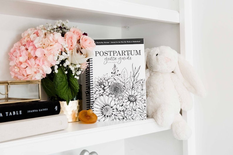 Postpartum Grace Guide: A Day-by-Day Message and Inspirational Journal for New Moms image 5