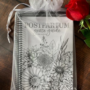 Postpartum Grace Guide: A Day-by-Day Message and Inspirational Journal for New Moms image 8