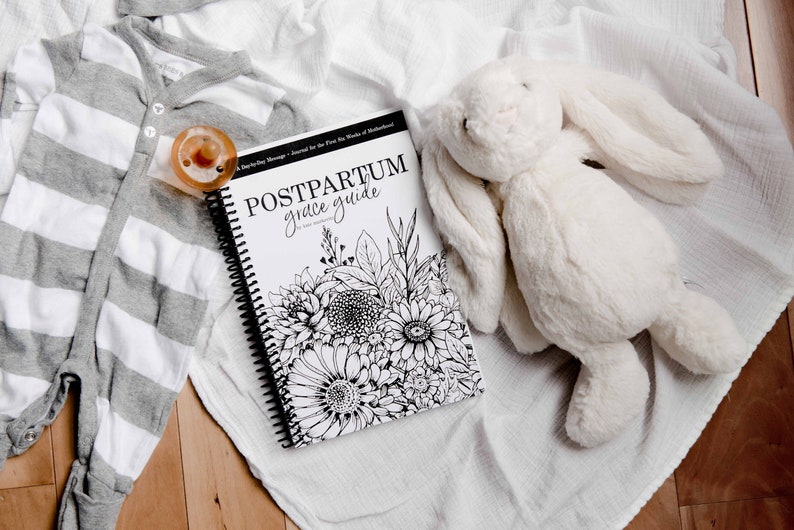 Postpartum Grace Guide: A Day-by-Day Message and Inspirational Journal for New Moms image 1