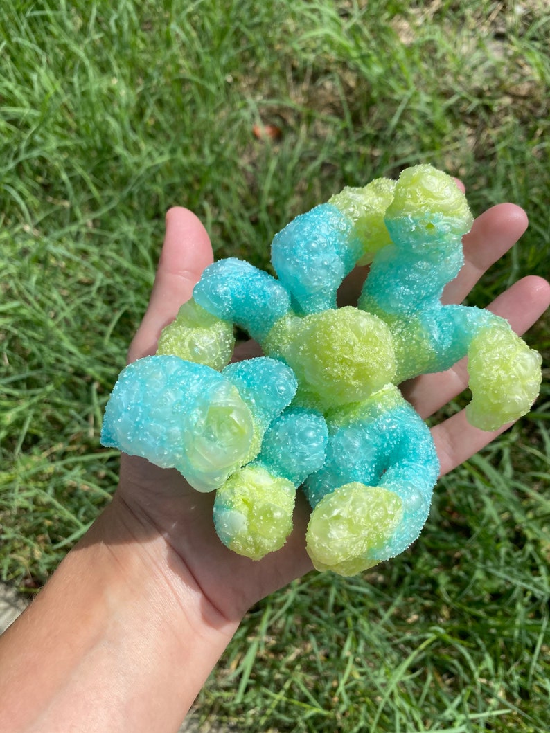 Freeze dried sour trolli octopus gummies 1 oz Etsy