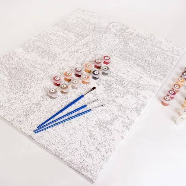 Paint by Number Sea Ship, Painting by Numbers Kit for Adults With Frame