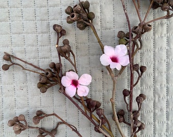 Dried Eucalyptus seed pods - 5 stems - accents for dried floral arrangement, home decor, or other crafts!  (No viable seed)