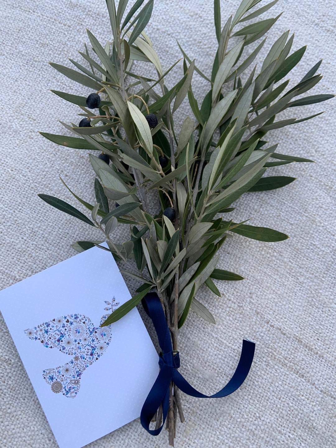 Peace Offering Olive Branches and a Card With the Inscription of Your Choice. Apology Gift, I'm