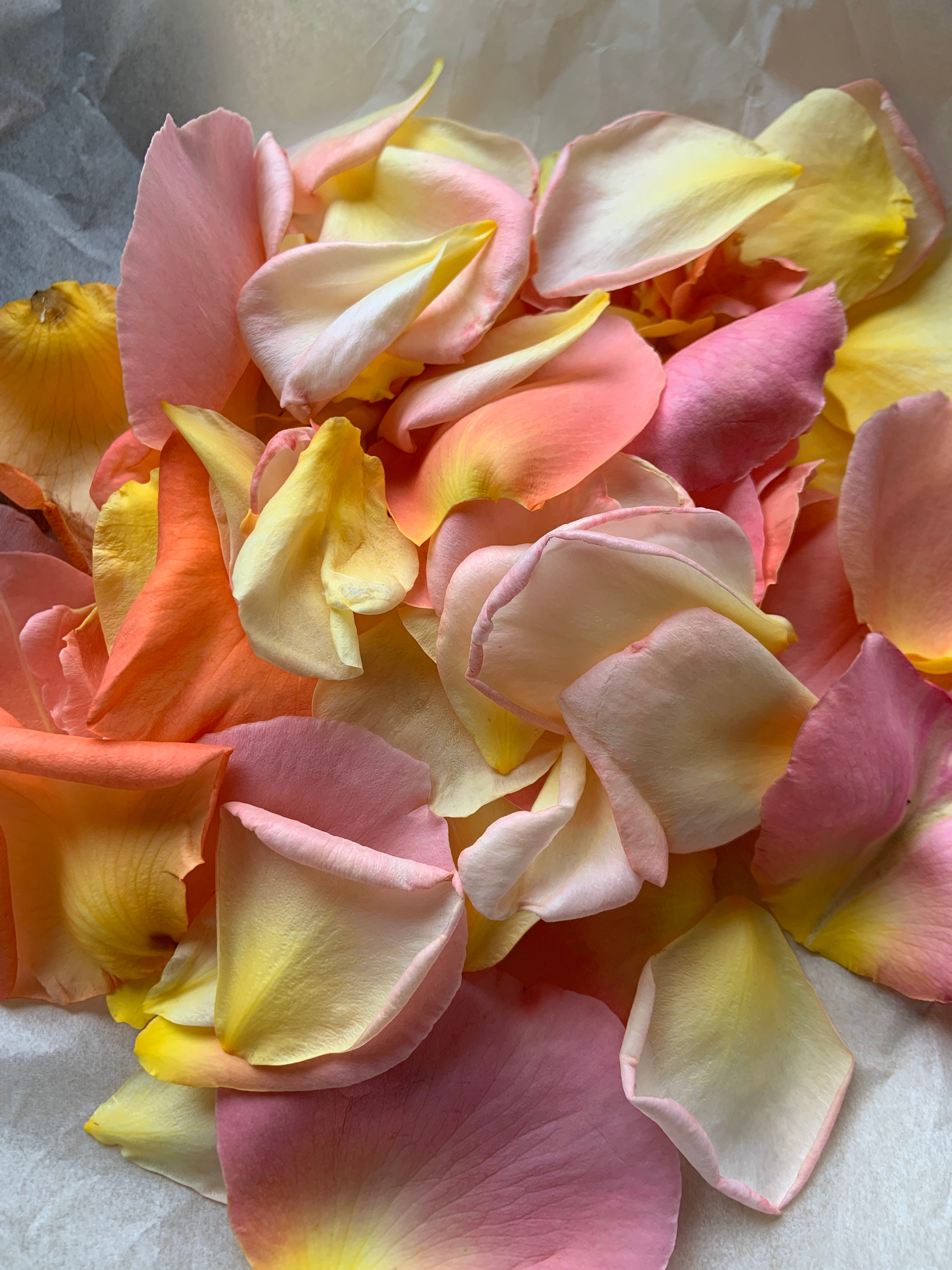 Where To Find Fresh Rose Petals Near You: A Comprehensive Guide