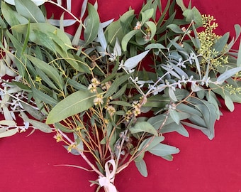 May include: A bundle of fresh eucalyptus leaves and sprigs, tied with a cream-colored ribbon. The leaves are various shades of green and gray, with small yellow and brown buds. The background is a solid, deep red.
