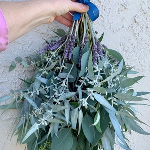 Eucalyptus shower steamer - 100% pure, live, freshly harvested stems. Lavender available seasonally. Great gift for her, spa, health care.