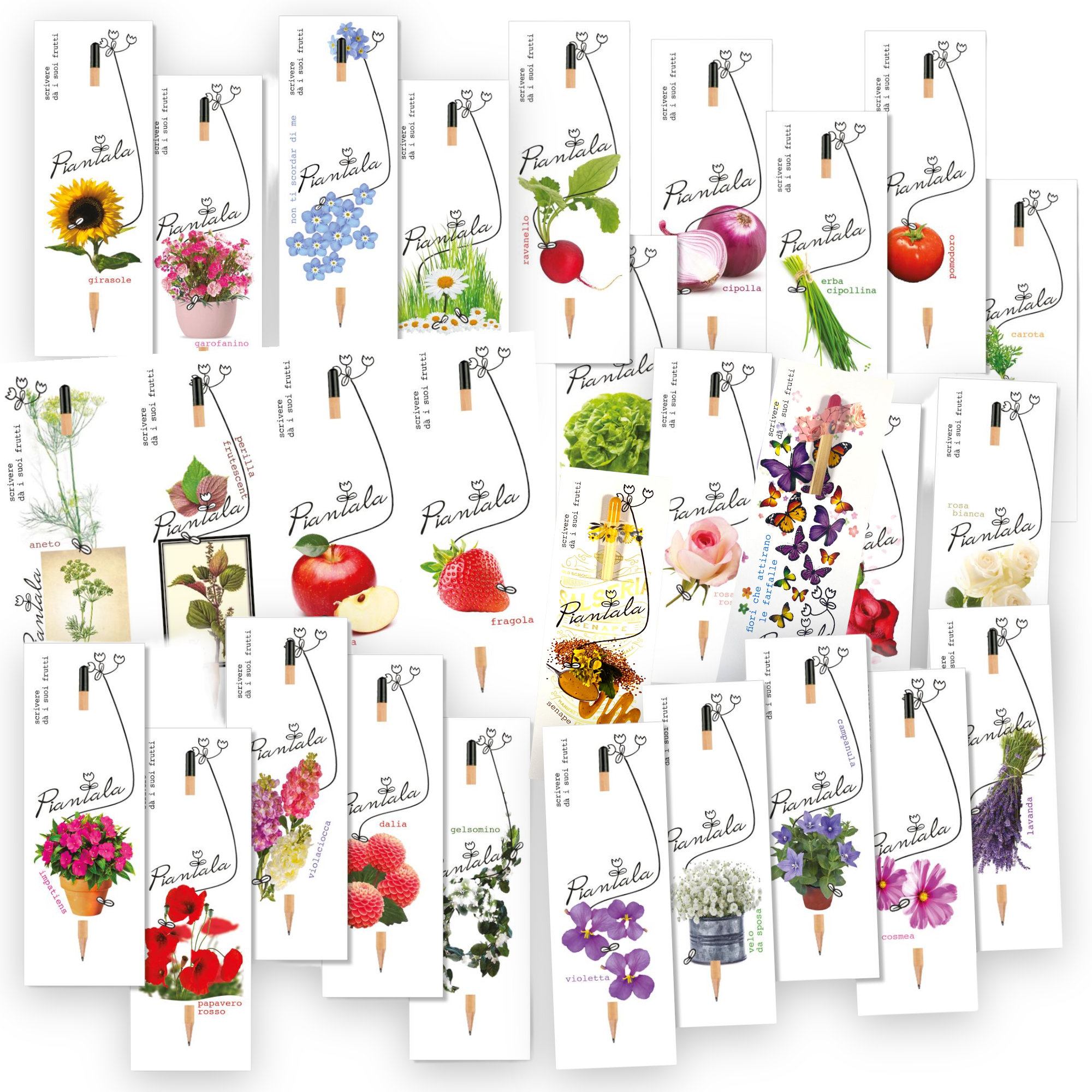 Value Pack 10 Pezzi: Matite Piantabili Con Semi Di Fiori Impollinatori – Kit Ecologico Per Bomboniere, Segnaposto O Regali Green Di Natale - 4