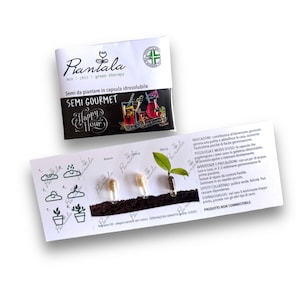 Könnte beinhalten: Eine schwarze Box mit den Worten "Piantela" und "Semi Gourmet Happy Hour" darauf gedruckt. Die Box enthält vier kleine Kapseln mit Samen darin. Die Kapseln sind mit den Namen der Pflanzen beschriftet: "Ananas", "Salvia", "Liqourice" und "Menta".