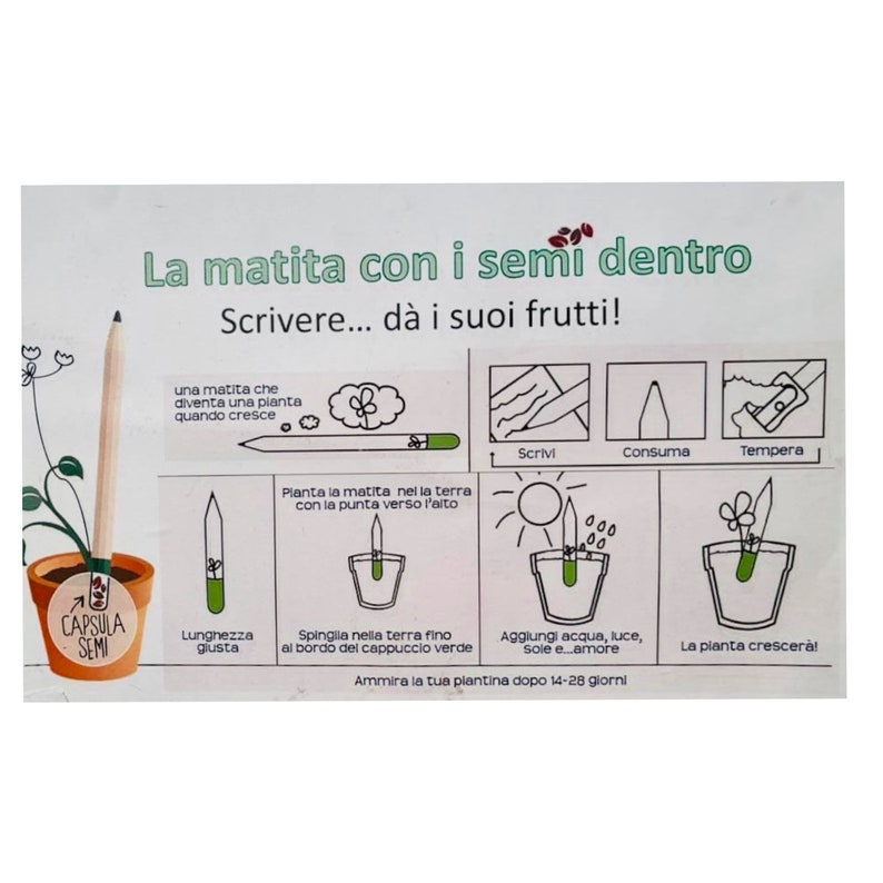 Generico VALUE PACK 4 PEZZI: sei piantabili + atite + cartoncini