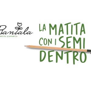 Kit Semi Piantabili + Matite – Pack Da 4 Pezzi, Aromatiche, Per Segnaposto, Bomboniere O Regali Eco-friendly