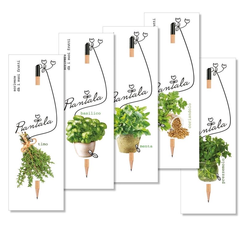Generico Pack 10 Matite Piantabili Con Semi – Edizione Natale – Confezione Regalo Green Con Cartoncini – Bomboniere Sostenibili