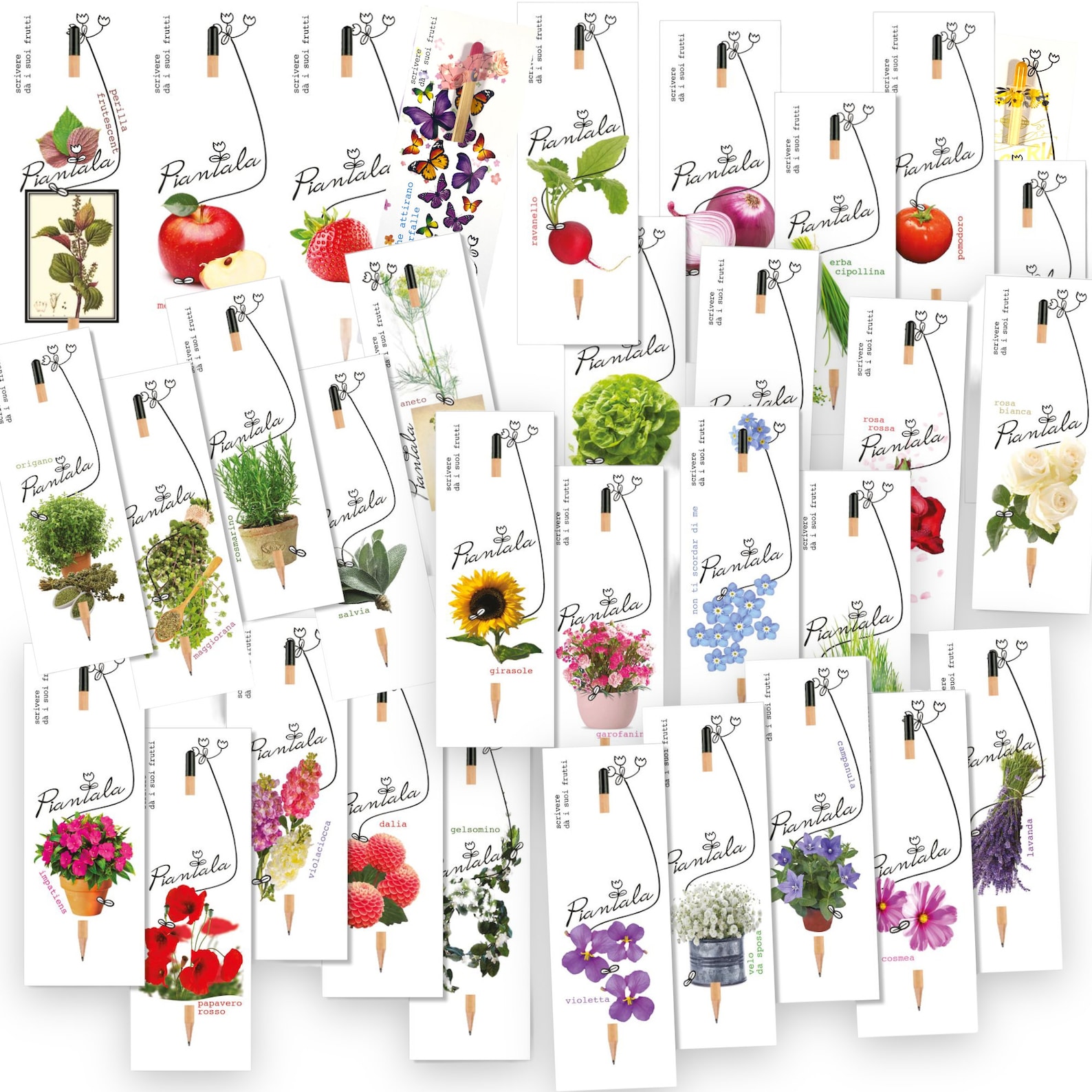Regalo Green Per Feste Generico VALUE PACK 10 PEZZI: Semi Piantabili + Matite + Cartoncini Bomboniere Ecologiche Semi