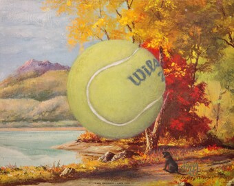 Fetch