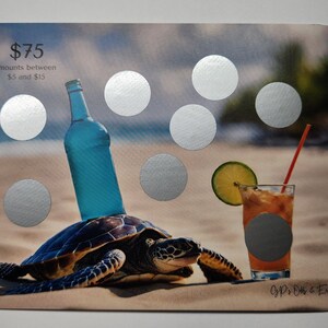 Desafío de ahorro de raspadito de tortuga