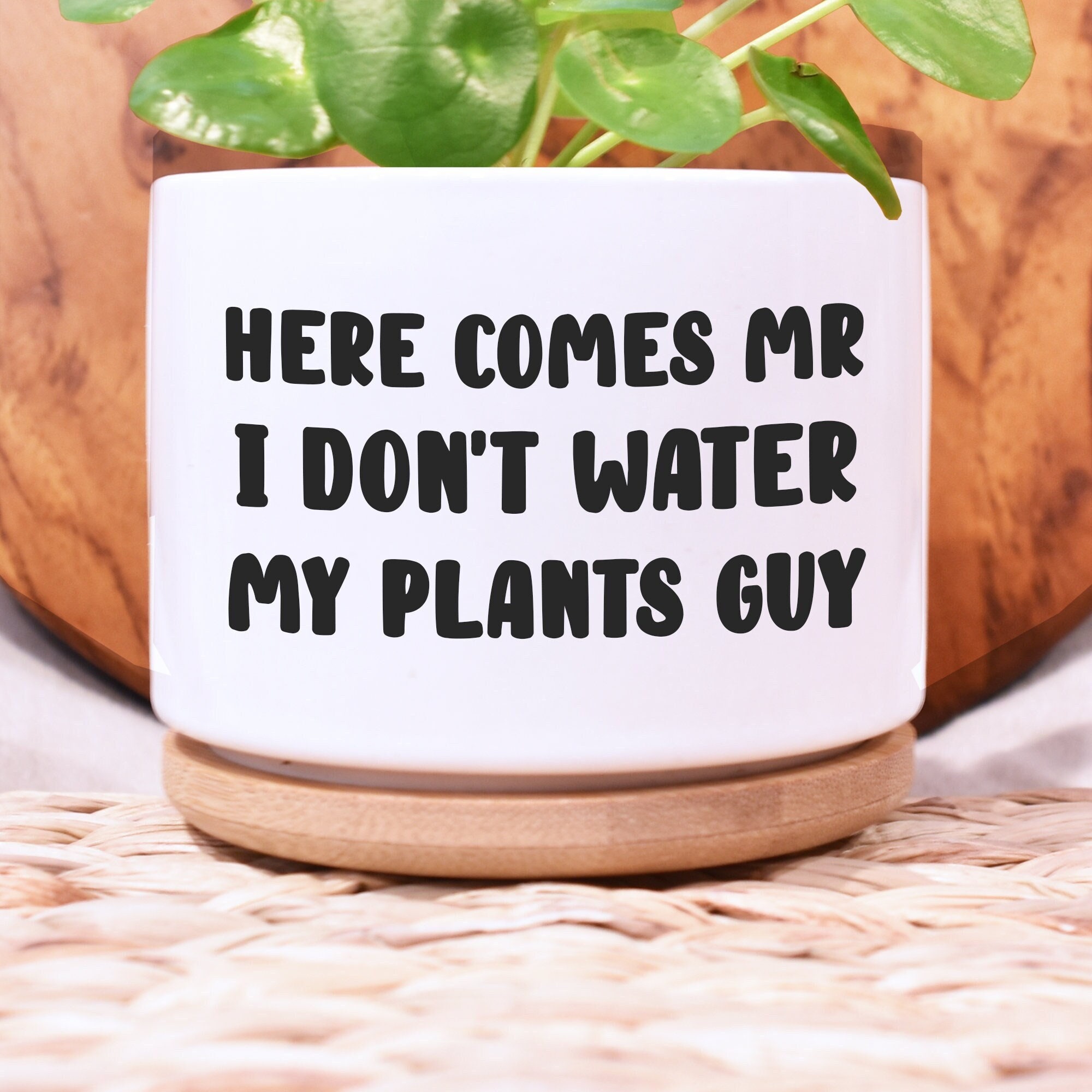 Funny Plant Pot Plant Lover Gift Funny Planter Gift Etsy