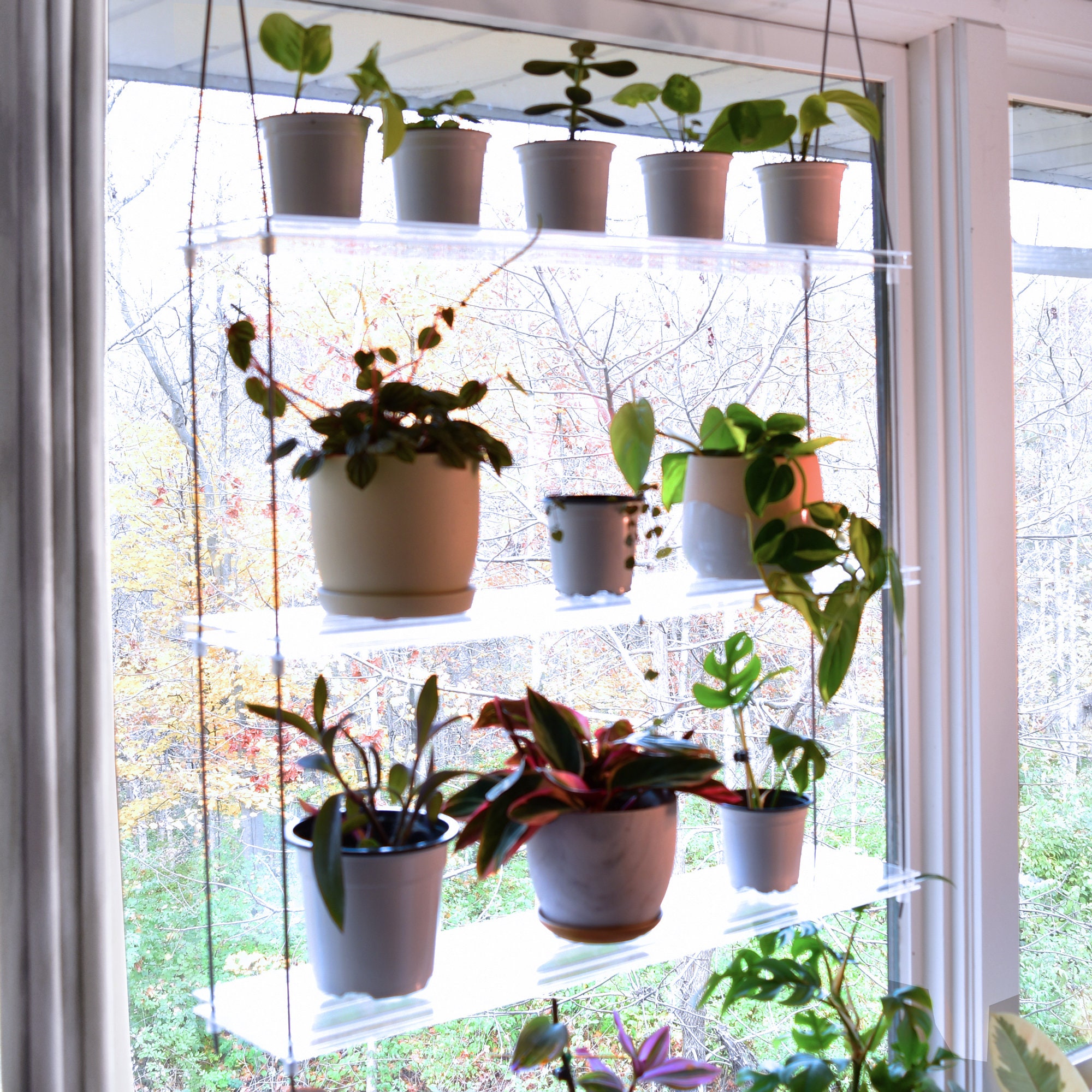 Clear Window Plant Shelf Hanging Shelf Indoor - Etsy
