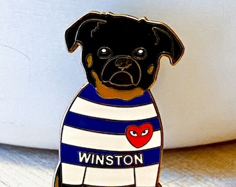 brussels griffon for sale gold coast