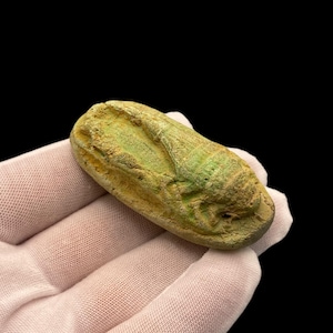 One of A Kind Ancient Egypt Good Luck Scorpion Amulet - Made in Egypt